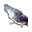 Poissonchat.png